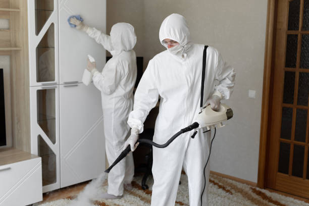 Best Mold Removal for HVAC Installations  in Tarpey Village, CA